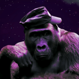 kaimoin avatar