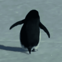 fislan_ avatar