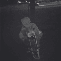 lordfaderunner avatar