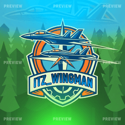 TheInternetsWingman avatar