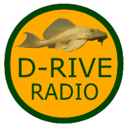 D_RIVE_RADIO avatar