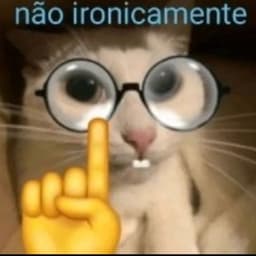 esquizoide_de_schrodinger avatar