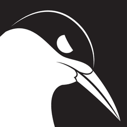 Sternab avatar