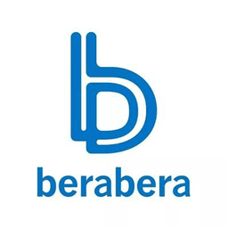 voleyberabera avatar