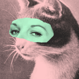 Jusley avatar