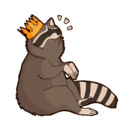 rackoonking avatar