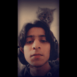 painndota avatar