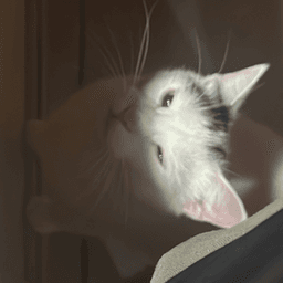 atillagamegame avatar