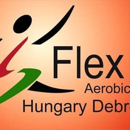 flexhdse avatar