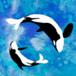 DizSea avatar