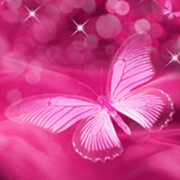 Motyl89 avatar