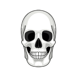 Skullyrust_ avatar