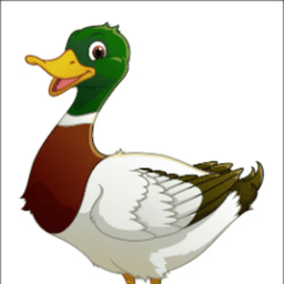 yogalete_ avatar