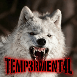 TEMP3RMENT4L avatar