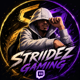 StriidezGaming avatar