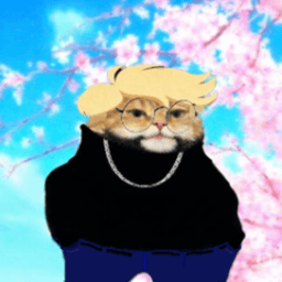 tavol4nding avatar