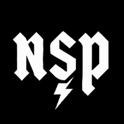 NSPgaming25 avatar