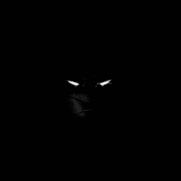 tbePerc avatar