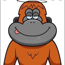 xl_munkey_lx avatar