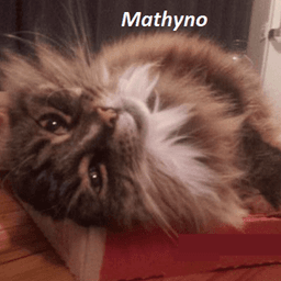 Mathyno avatar