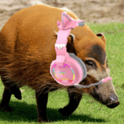 potamochere_gaming avatar
