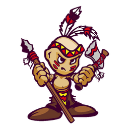 i_Seminole avatar