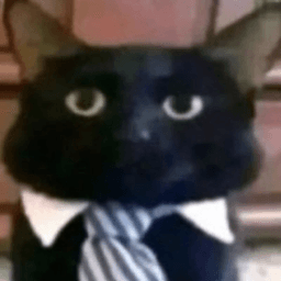 Erwacht7 avatar
