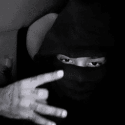 nuggetbiscit123 avatar