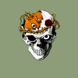 Bonkinnn avatar
