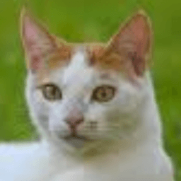 wwwsantifan avatar