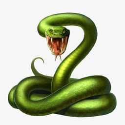 Snakezy avatar