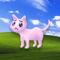 shiice_ avatar