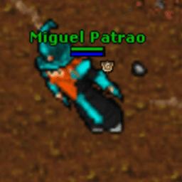 miguelpatraoek avatar