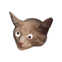 WatsupCatsup avatar