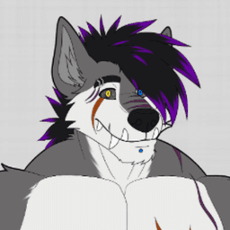 WolvainDownBad avatar