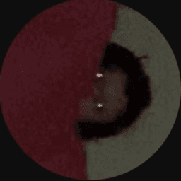 qwifso avatar
