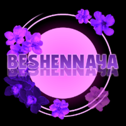 BESHENNAY avatar