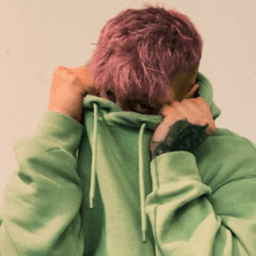 Pytthon avatar