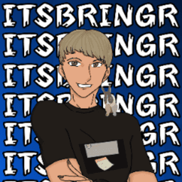 itsbringr avatar
