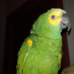 sam_2991 avatar
