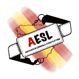 aesltv avatar