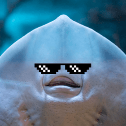 PafosnyySkat avatar