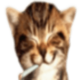 terps avatar