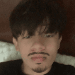 Sneegsnog avatar