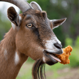 chickenenjoyer9 avatar