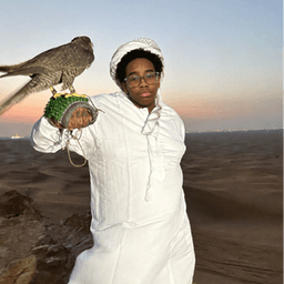 ag3nt_shawarma avatar