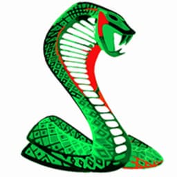 SNAKE_DELTA avatar