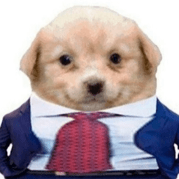 ToonBern avatar