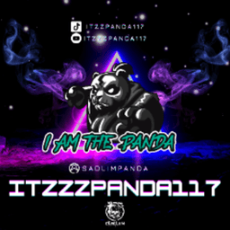 itzzzpanda117 avatar