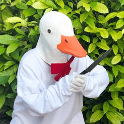 roidgoose avatar